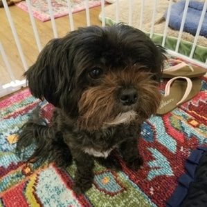 Meet your Posher, Mike